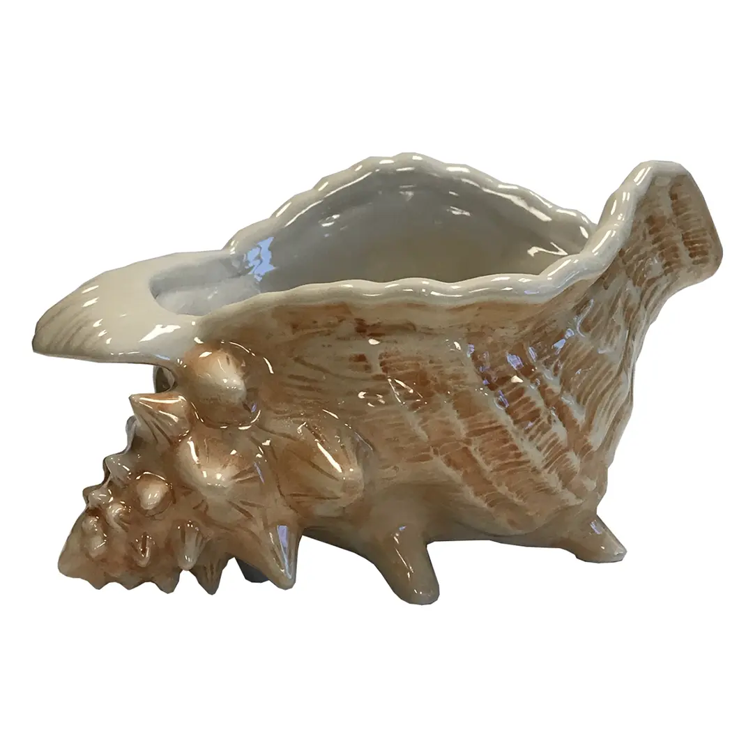 CONCH SHELL BOWL - Trader Vic's