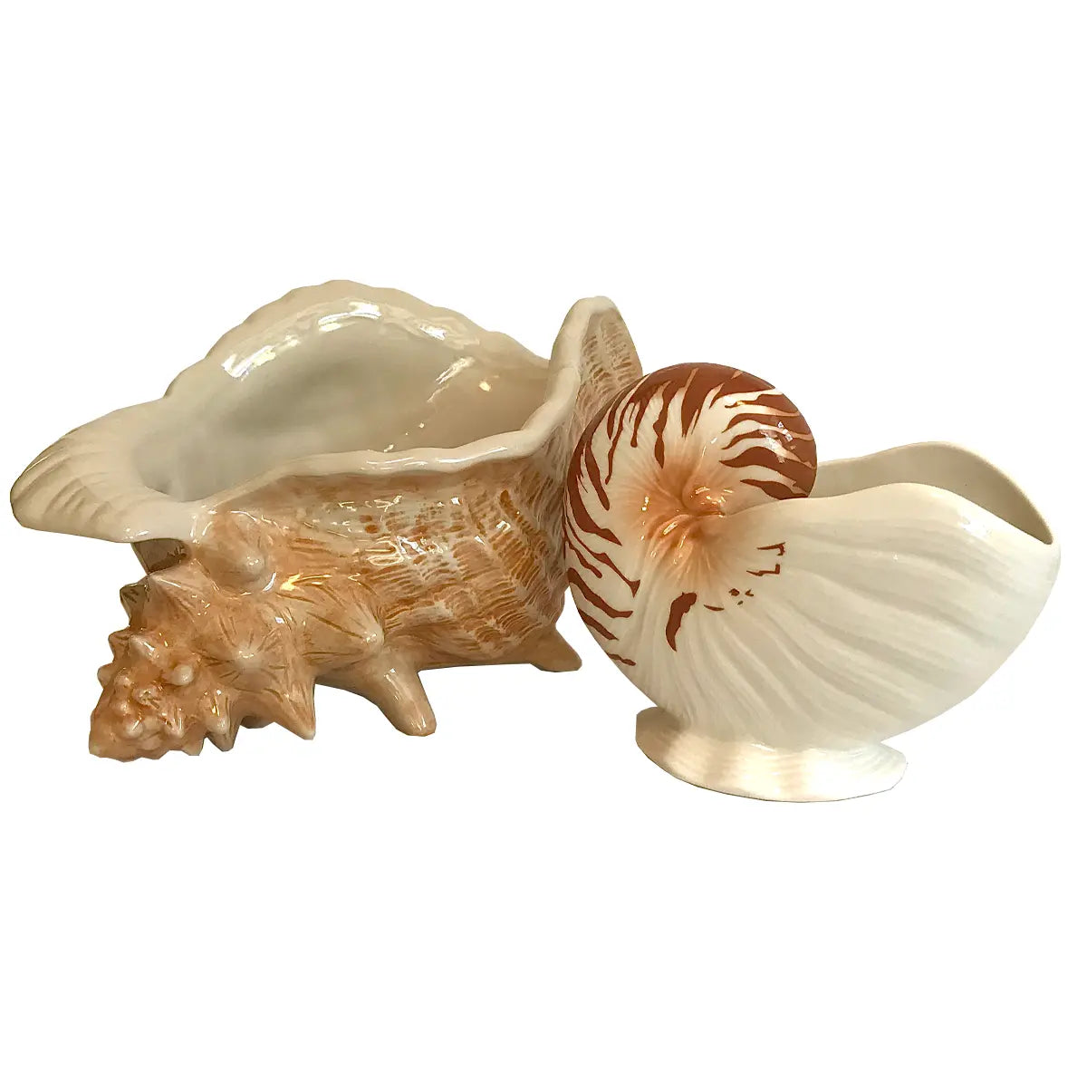SEASHELL BUNDLE Trader Vic's