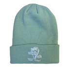 Teal beanie with a logo on a white background