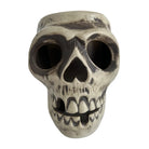 Front view of skull mug